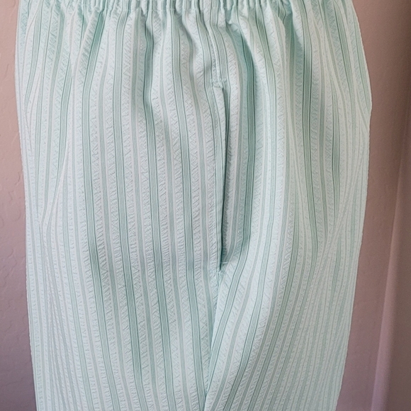 Vintage 1970's Blue and Green Striped Petal Pusher‎ Set - Picture 7 of 9